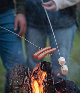 Bonfire Buddies