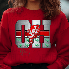 Load image into Gallery viewer, 2-Sided Chrome OH-IO Sweatshirt Preorder
