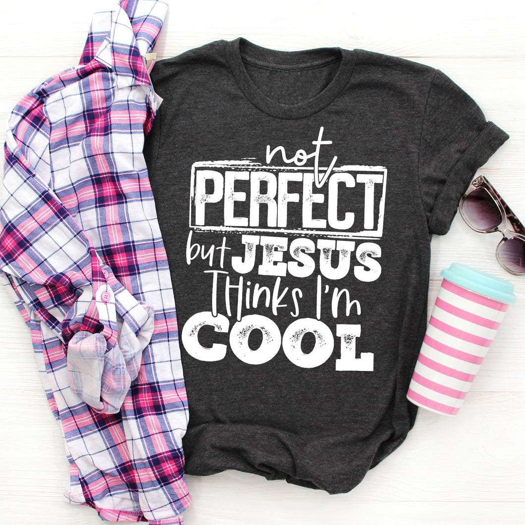 Not Perfect, But Jesus Thinks I am Cool